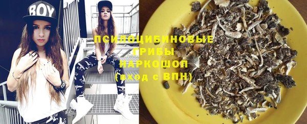 стафф Беломорск