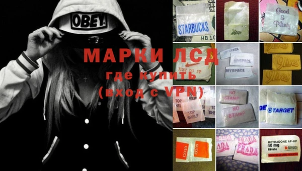 стафф Беломорск