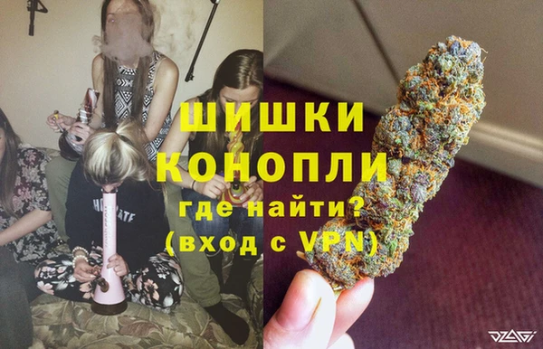Альфа ПВП Белокуриха