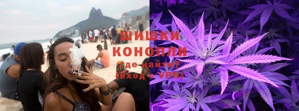 Альфа ПВП Белокуриха
