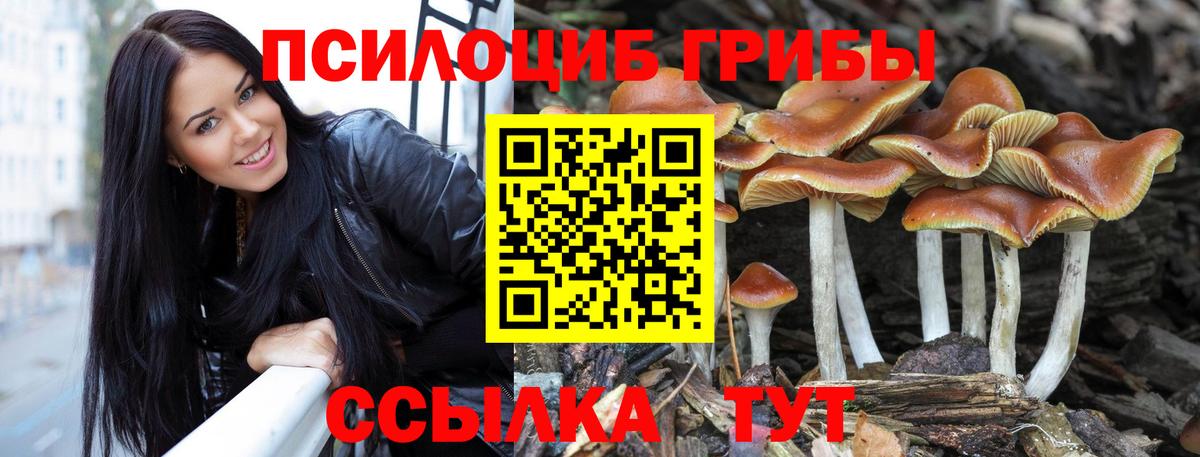 Луховицы  Псилоцибиновые грибы MAGIC MUSHROOMS  Псилоцибиновые грибы мухоморы  Вход с VPN 